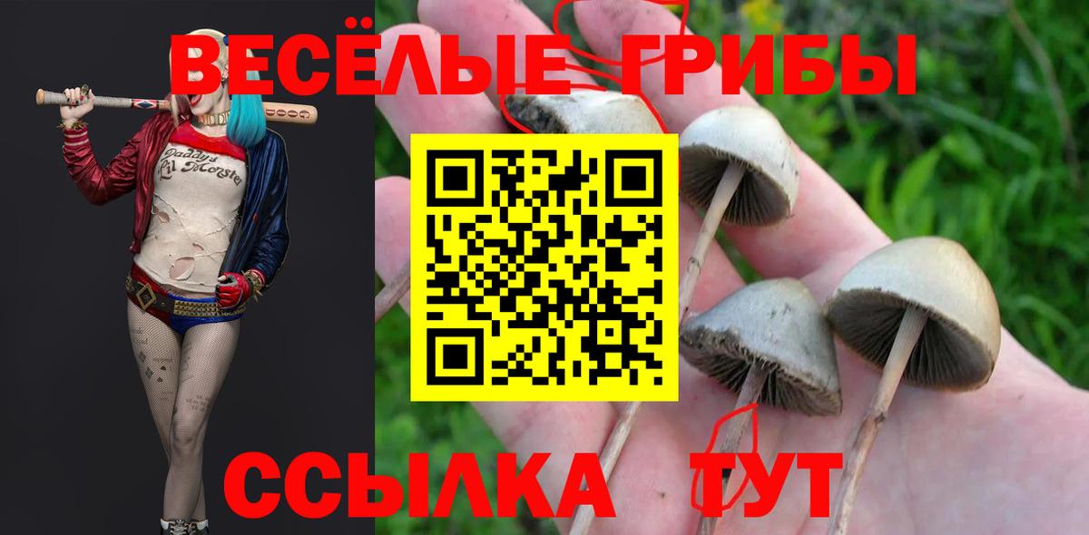 Псилоцибиновые грибы мицелий Жигулёвск